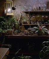 311-ProtectTheCoven-204.jpg