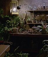 311-ProtectTheCoven-205.jpg
