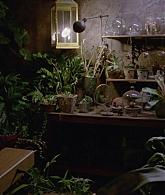 311-ProtectTheCoven-206.jpg