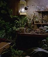 311-ProtectTheCoven-207.jpg