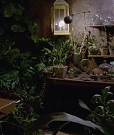 311-ProtectTheCoven-208.jpg