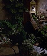 311-ProtectTheCoven-211.jpg