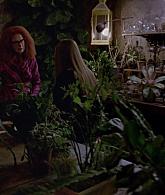 311-ProtectTheCoven-213.jpg
