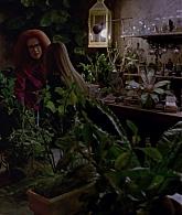 311-ProtectTheCoven-214.jpg