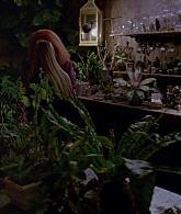 311-ProtectTheCoven-215.jpg