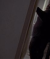 313-TheSevenWonders-351.jpg