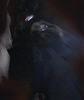 Filename=AHS-S06-E09-204.jpg
Filesize=73KiB
Dimensions=1920x1080
Date added=Sep 04, 2018 AHS-S06-E09-204.jpg