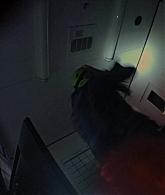 Filename=AHS-S06-E09-250.jpg
Filesize=67KiB
Dimensions=1920x1080
Date added=Sep 04, 2018 AHS-S06-E09-250.jpg
