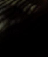 AHS-S06-E09-338.jpg