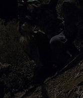 AHS-S06-E09-401.jpg