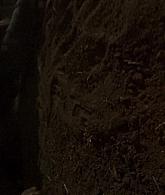 AHS-S06-E09-411.jpg