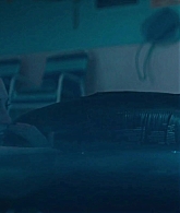 TheLongDumbRoad_1080p_0489.jpg