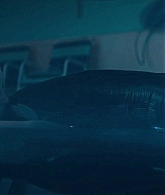 TheLongDumbRoad_1080p_0490.jpg