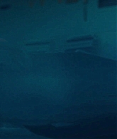 TheLongDumbRoad_1080p_0492.jpg