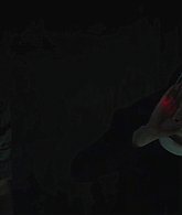 TheNun2_4K_2023_2611.jpg